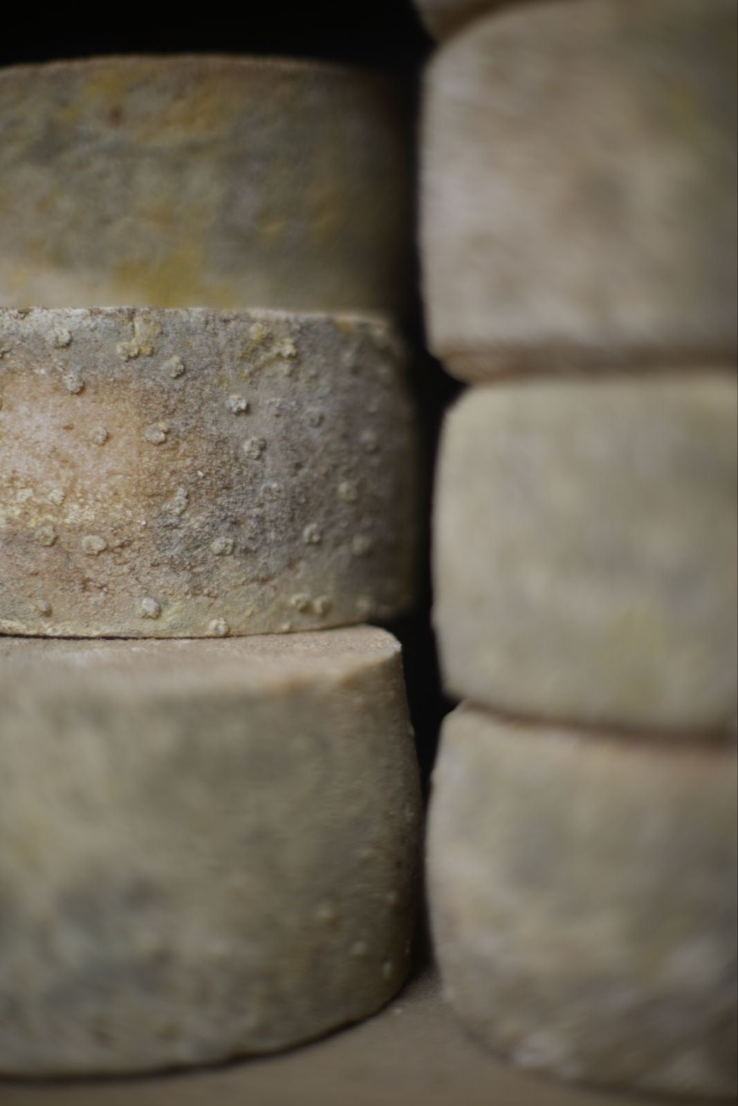 Tomme Sartenaise | Fromage Fermier Corse au Lait Cru