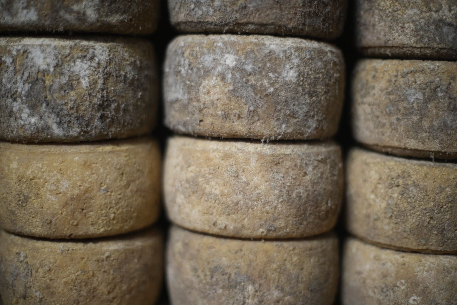 Tomme de brebis corse artisanale - Pâte ferme et fondante - Fromage fermier au lait cru  